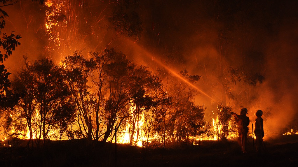 Australia Bush fire: Reasons, Impact and Restoration