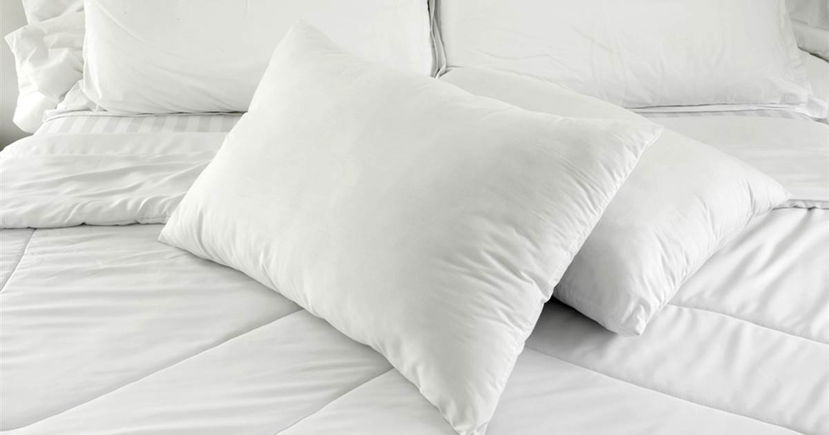 Which Pillow Is Right For You? Here’s What You Need For A Better Sleep ...