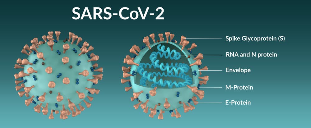 Covid-10 virus
