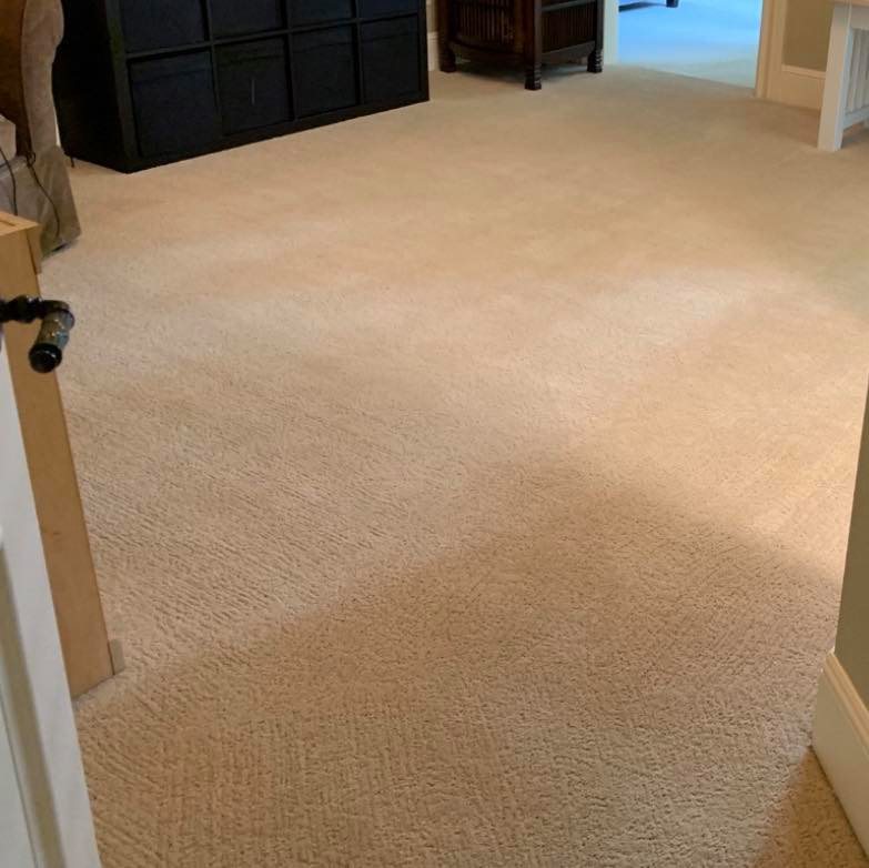 Carpet Cleaning and Stain Removal Tips From Carpet Blog HubBlog Hub