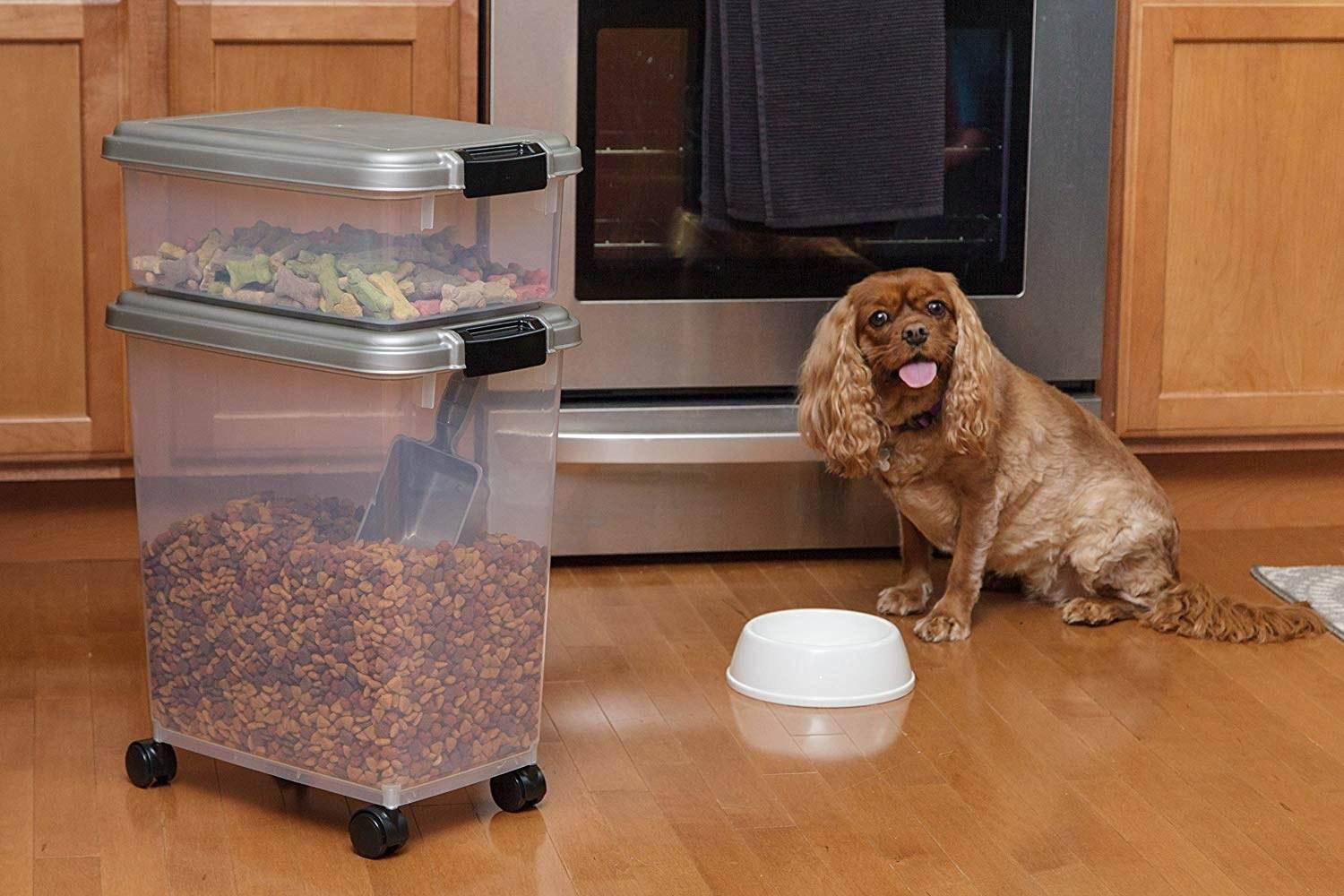 Ways to Store Dog Food Safely at Home Blog HubBlog Hub