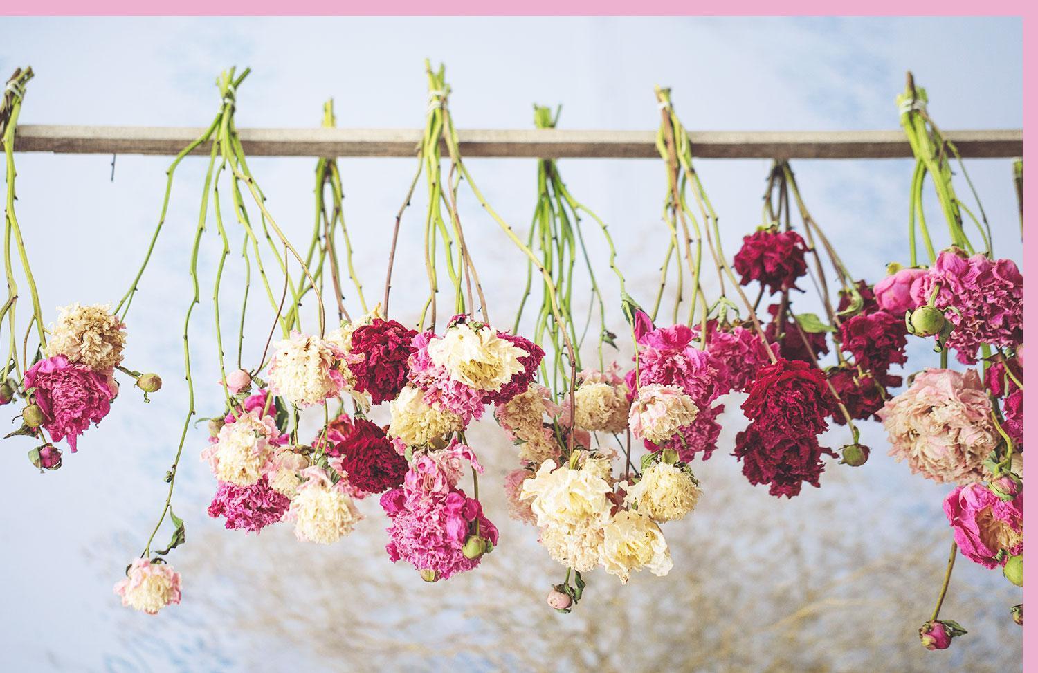 How Long Do Dried Flowers Last?Blog Hub