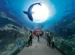 Best Aquariums And Zoo In Brisbane