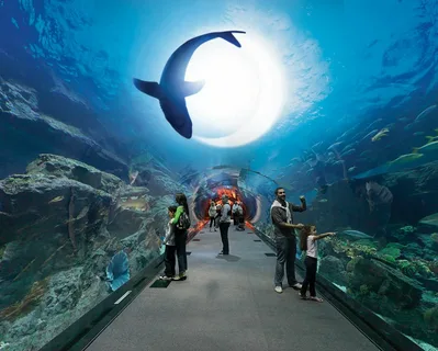 Best Aquariums And Zoo In Brisbane