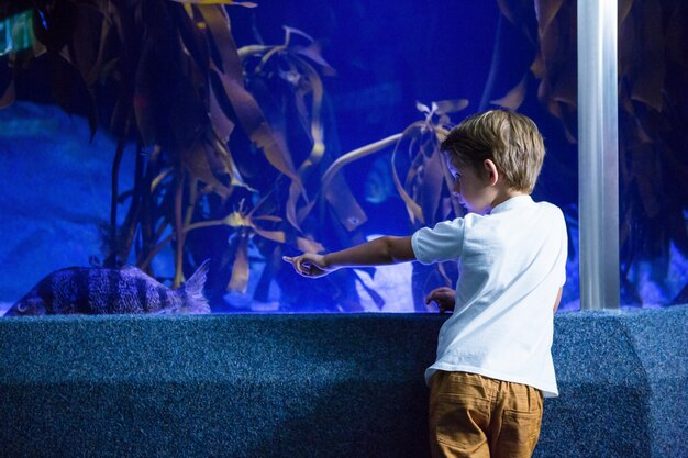 Best Aquariums In Adeliade