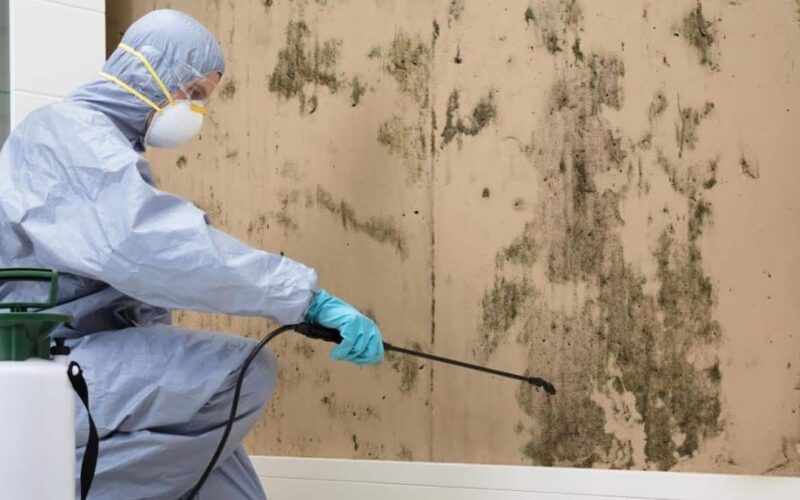 Mould Removal Melbourne