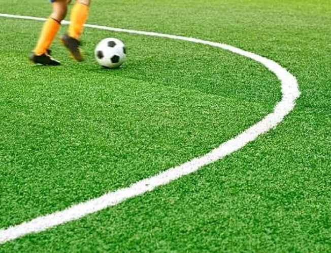 Best Fake Grass Perth