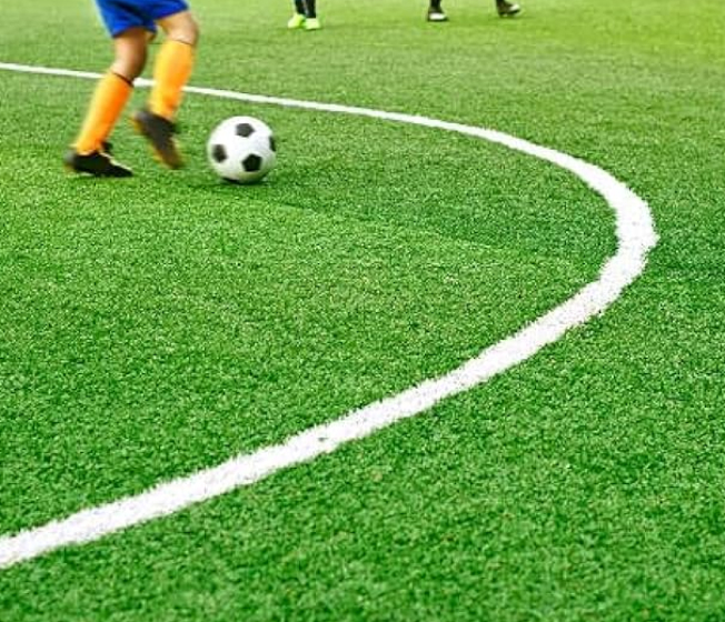 Best Fake Grass Perth