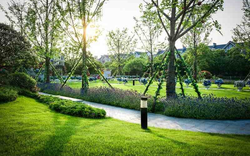 landscaping Geelong