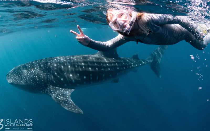 Vulnerable on the IUCN Red List